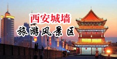 骚逼被操XXX中国陕西-西安城墙旅游风景区